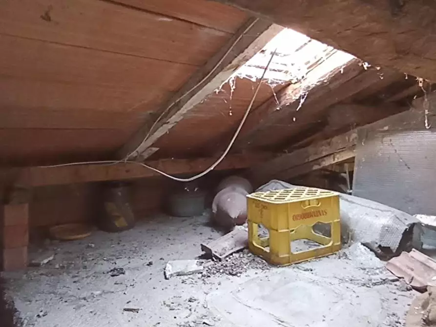 Immagine 11 di Porzione di casa in vendita  a Gattatico