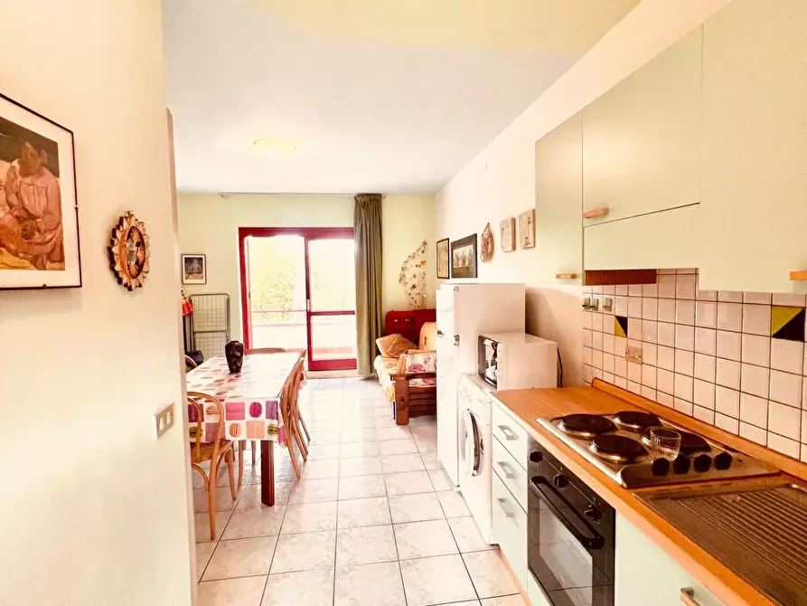 Immagine 5 di Appartamento in vendita  a Bibbona