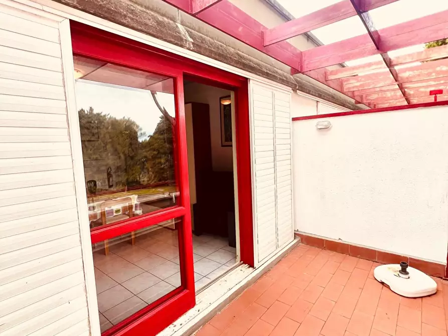 Immagine 4 di Appartamento in vendita  a Bibbona