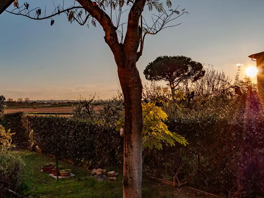 Immagine 21 di Villetta a schiera in vendita  a Fucecchio