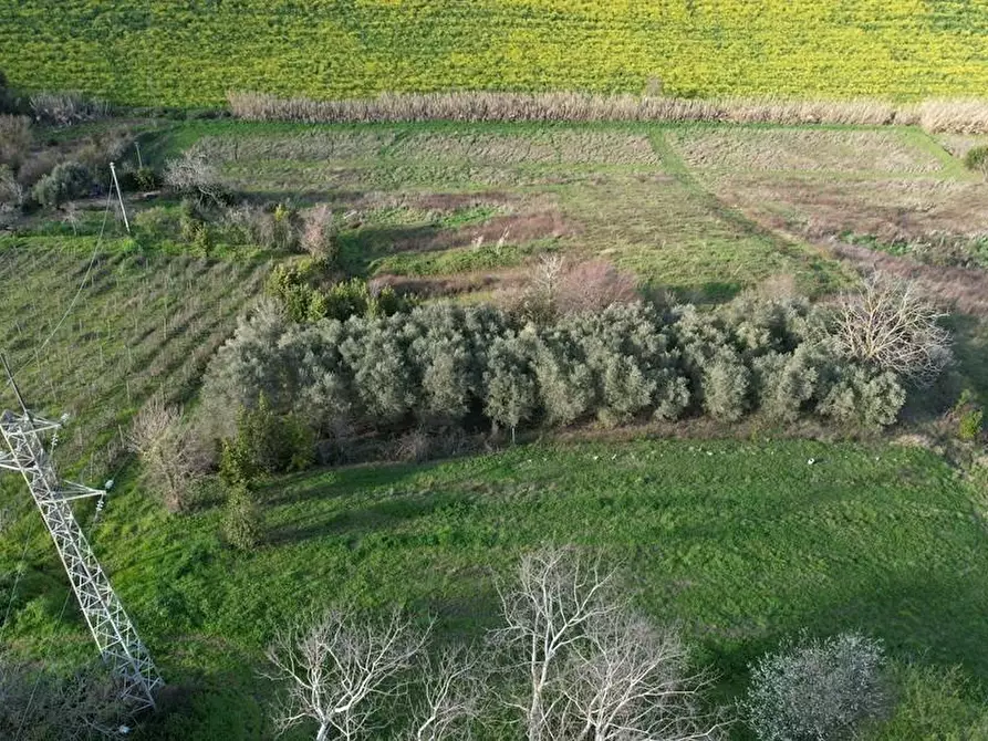 Immagine 6 di Appartamento in vendita  a Rosignano Marittimo