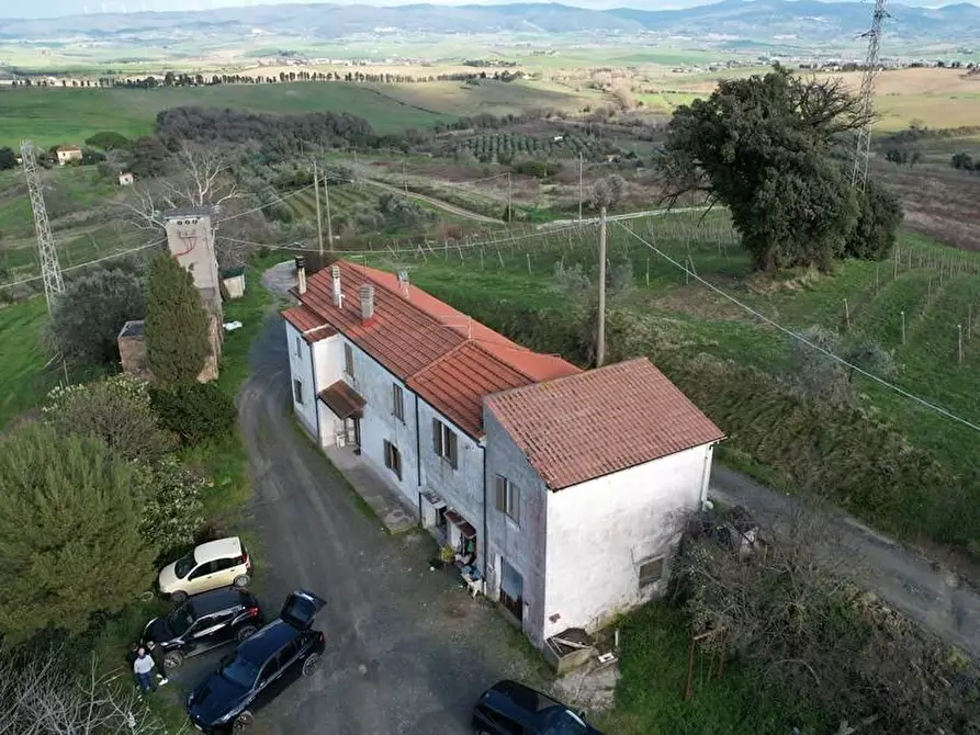 Immagine 10 di Appartamento in vendita  a Rosignano Marittimo