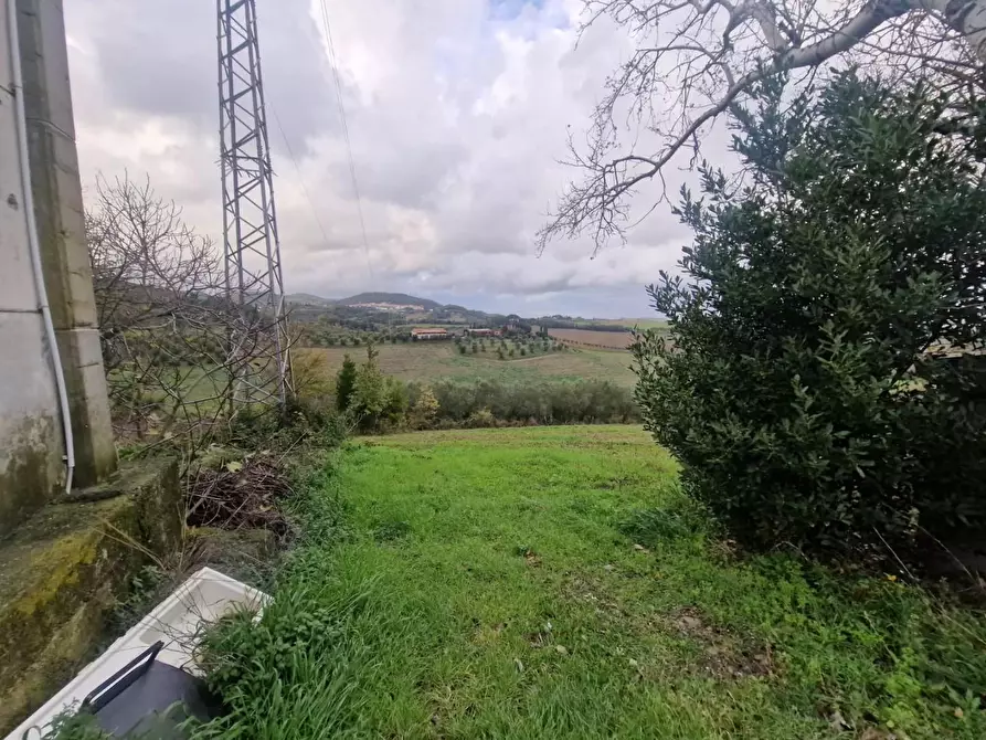 Immagine 9 di Appartamento in vendita  a Rosignano Marittimo