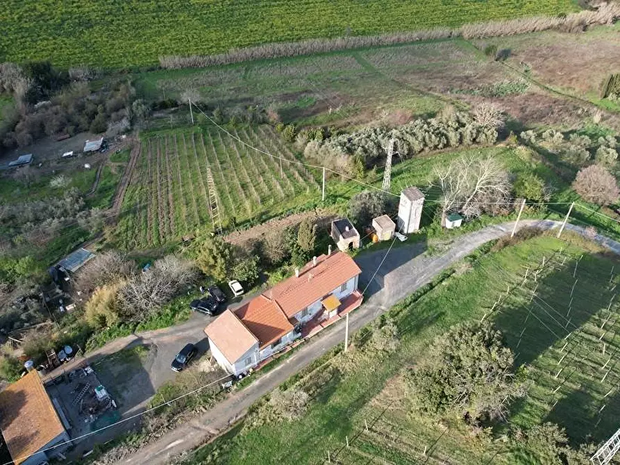 Immagine 13 di Appartamento in vendita  a Rosignano Marittimo