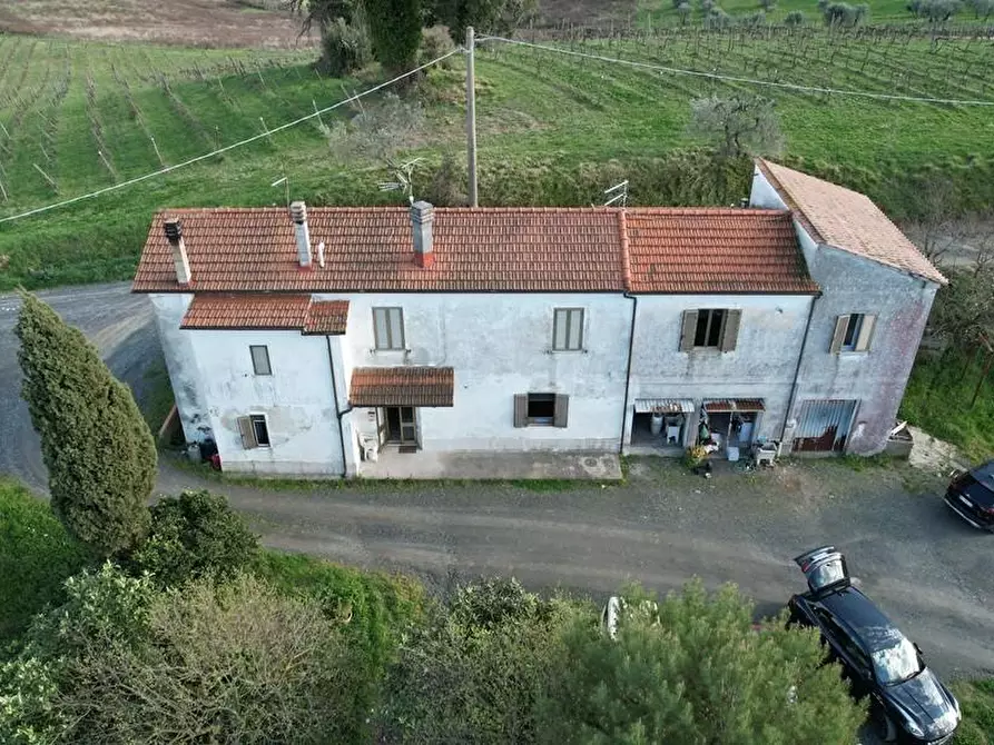 Immagine 2 di Appartamento in vendita  a Rosignano Marittimo