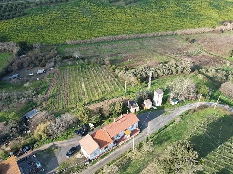 Immagine 12 di Appartamento in vendita  a Rosignano Marittimo