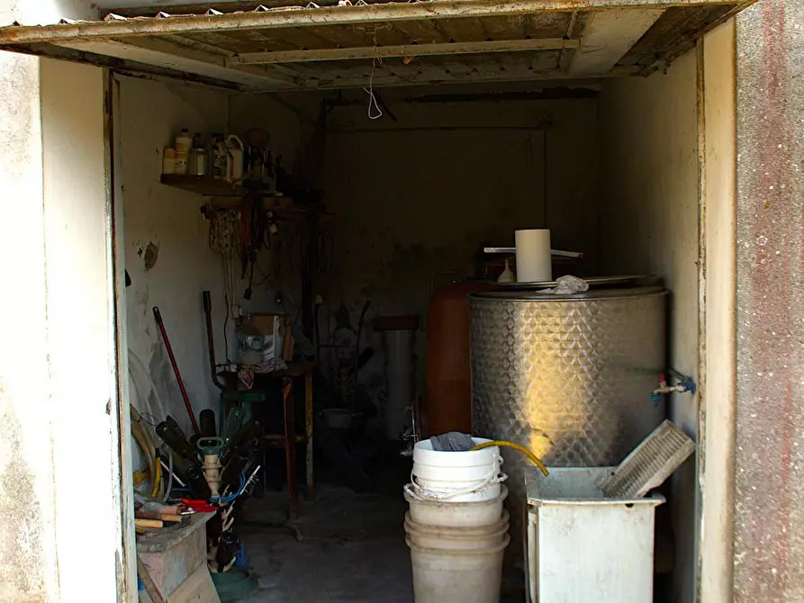 Immagine 24 di Appartamento in vendita  a Rosignano Marittimo