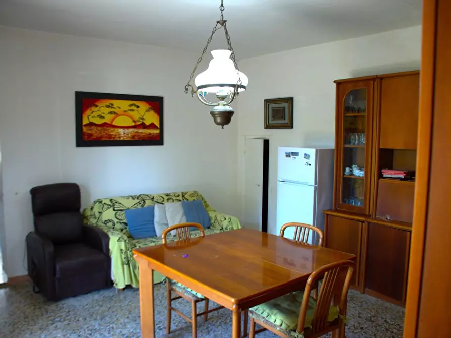 Immagine 17 di Appartamento in vendita  a Rosignano Marittimo