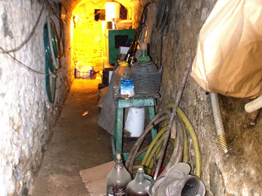 Immagine 25 di Appartamento in vendita  a Rosignano Marittimo