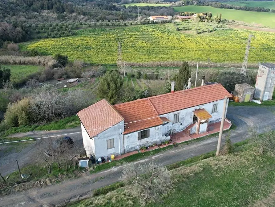 Immagine 11 di Appartamento in vendita  a Rosignano Marittimo