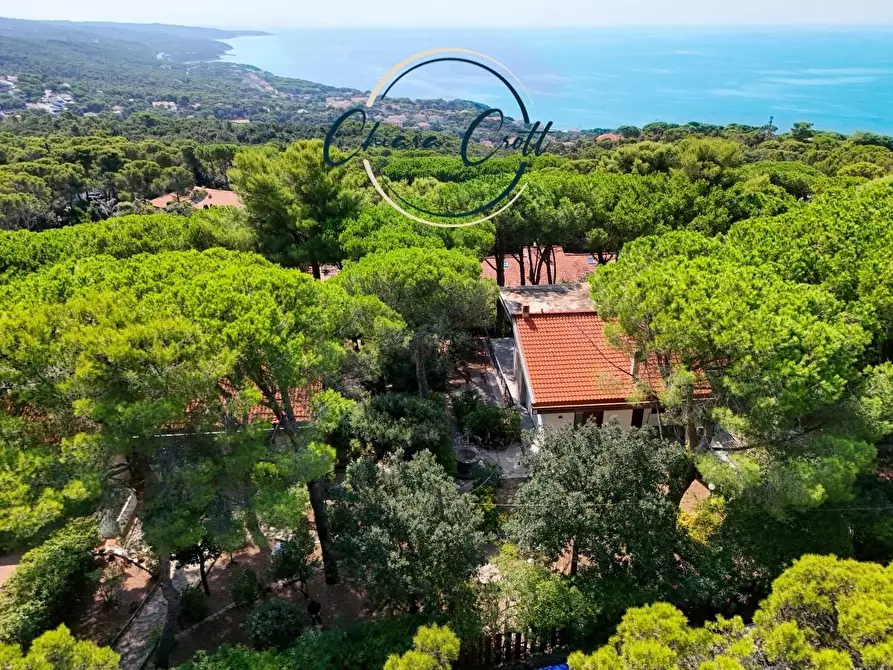 Immagine 8 di Villa in vendita  a Livorno