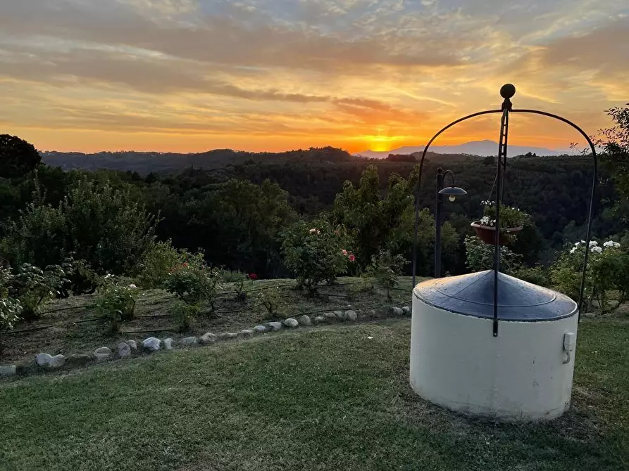 Immagine 34 di Rustico / casale in vendita  a Palaia