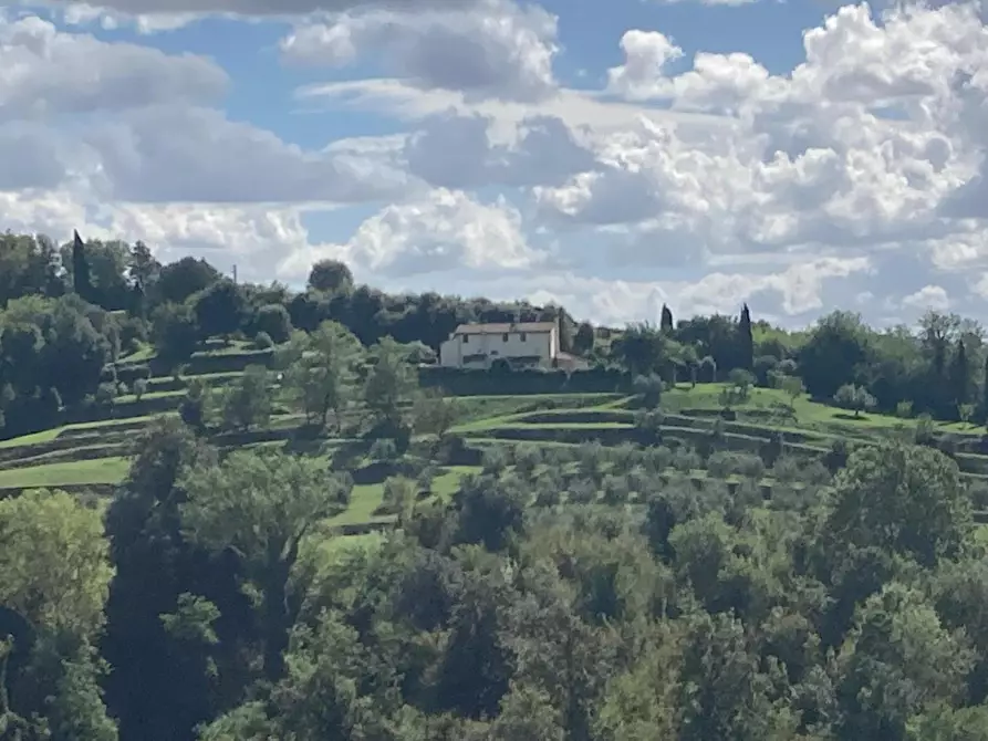 Immagine 39 di Rustico / casale in vendita  a Palaia