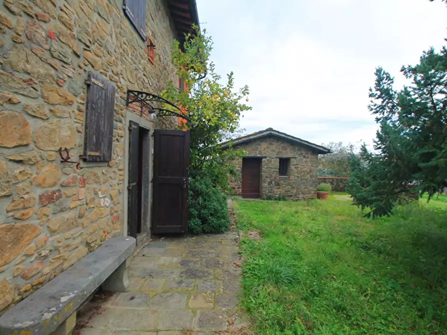 Immagine 6 di Casa colonica in vendita  a Uzzano