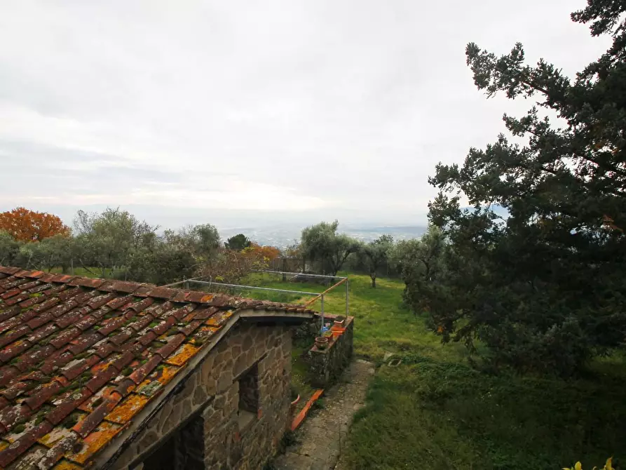 Immagine 22 di Casa colonica in vendita  a Uzzano