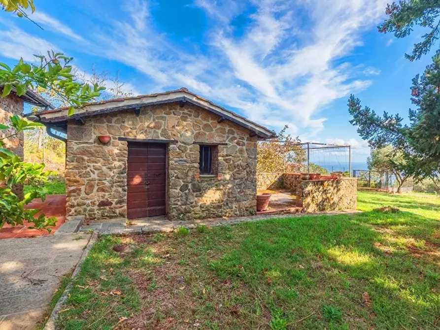 Immagine 8 di Casa colonica in vendita  a Uzzano