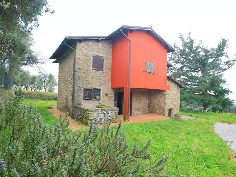 Immagine 4 di Casa colonica in vendita  a Uzzano