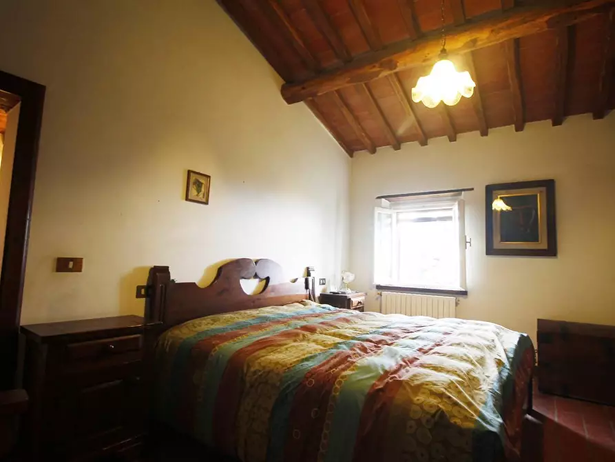 Immagine 16 di Casa colonica in vendita  a Uzzano