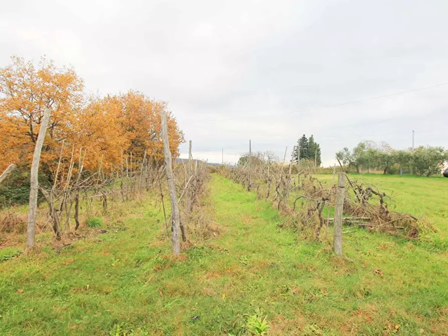 Immagine 23 di Casa colonica in vendita  a Uzzano