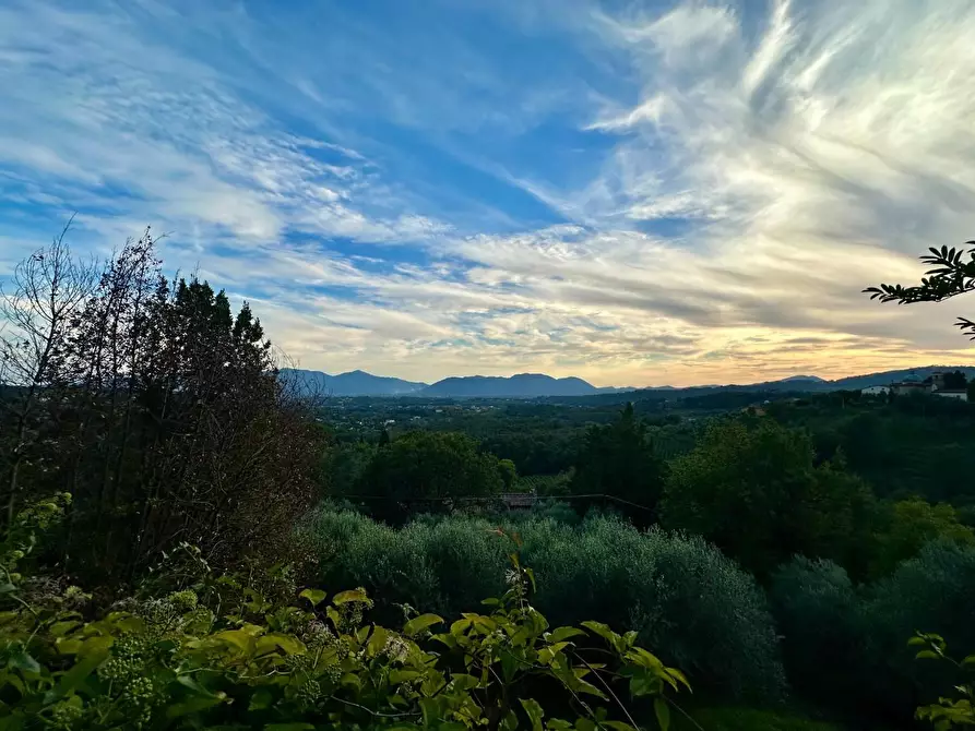 Immagine 19 di Villa in vendita  a Lucca