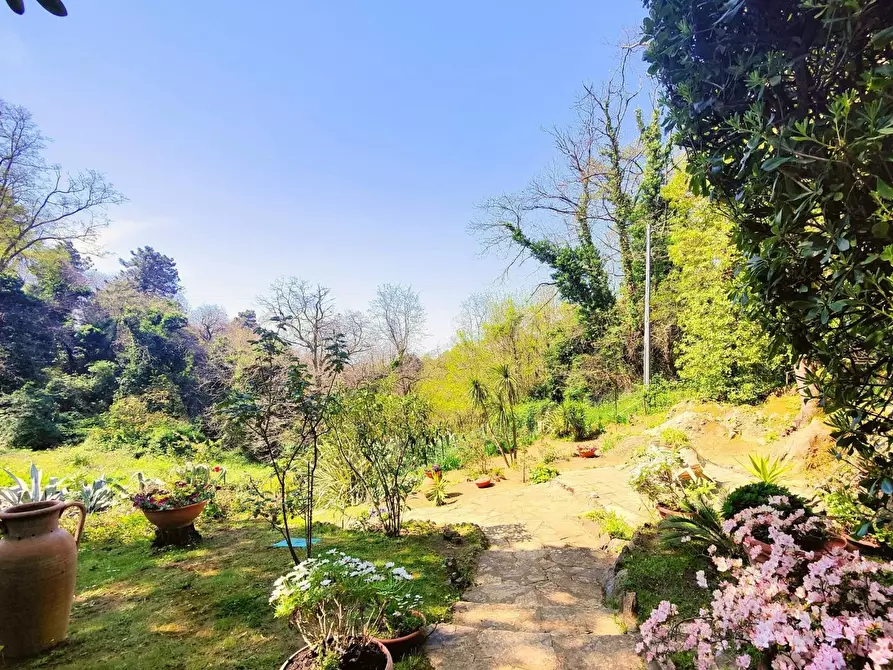 Immagine 29 di Villa in vendita  a San Giuliano Terme