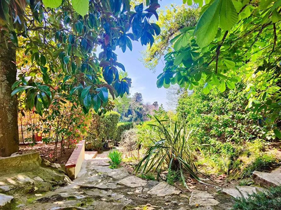 Immagine 6 di Villa in vendita  a San Giuliano Terme