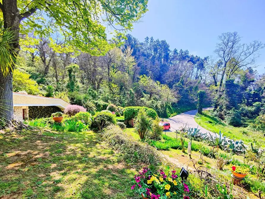 Immagine 5 di Villa in vendita  a San Giuliano Terme