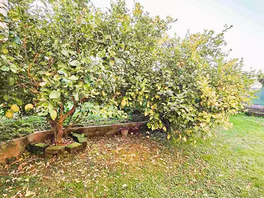 Immagine 23 di Appartamento in vendita  a Montignoso