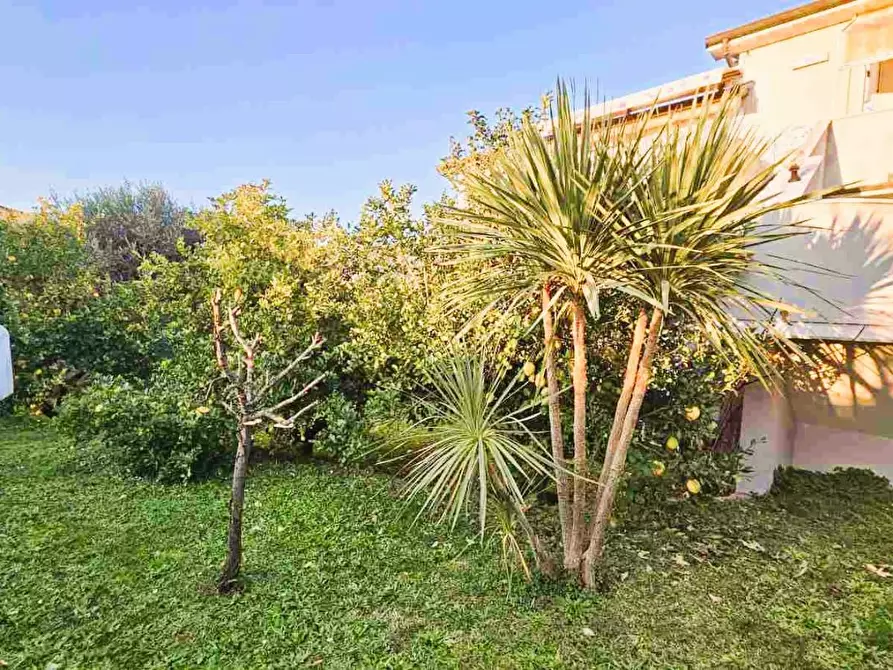 Immagine 19 di Appartamento in vendita  a Montignoso