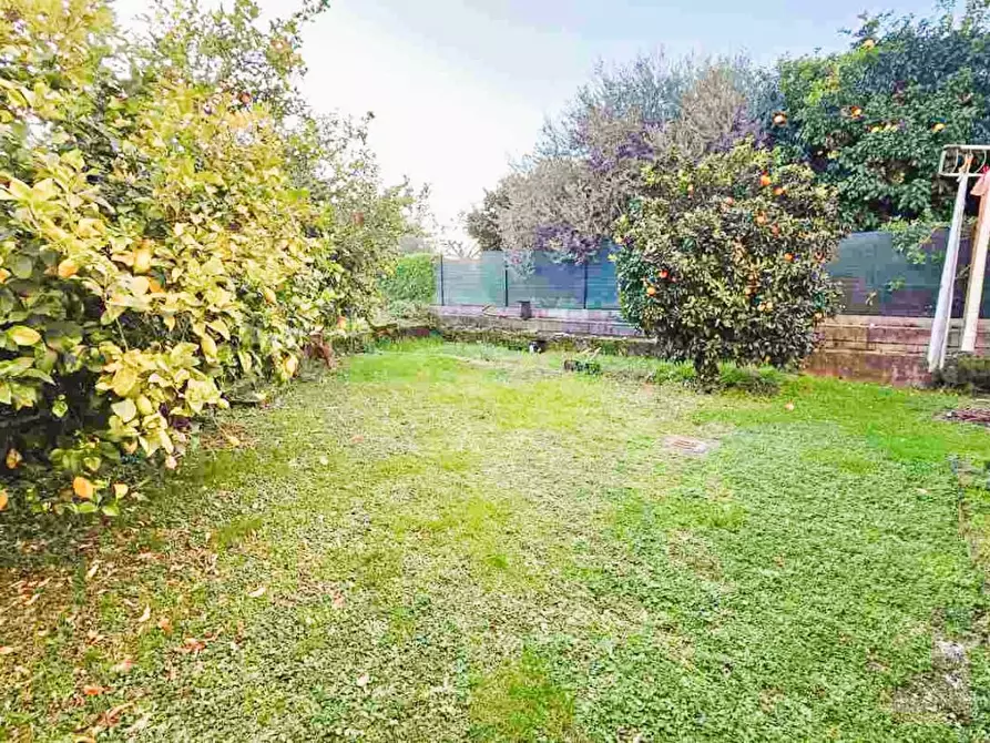 Immagine 18 di Appartamento in vendita  a Montignoso