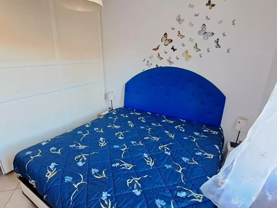 Immagine 15 di Appartamento in vendita  a Rosignano Marittimo