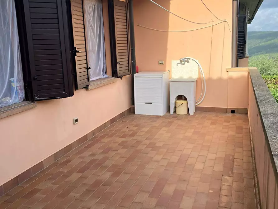 Immagine 11 di Appartamento in vendita  a Rosignano Marittimo