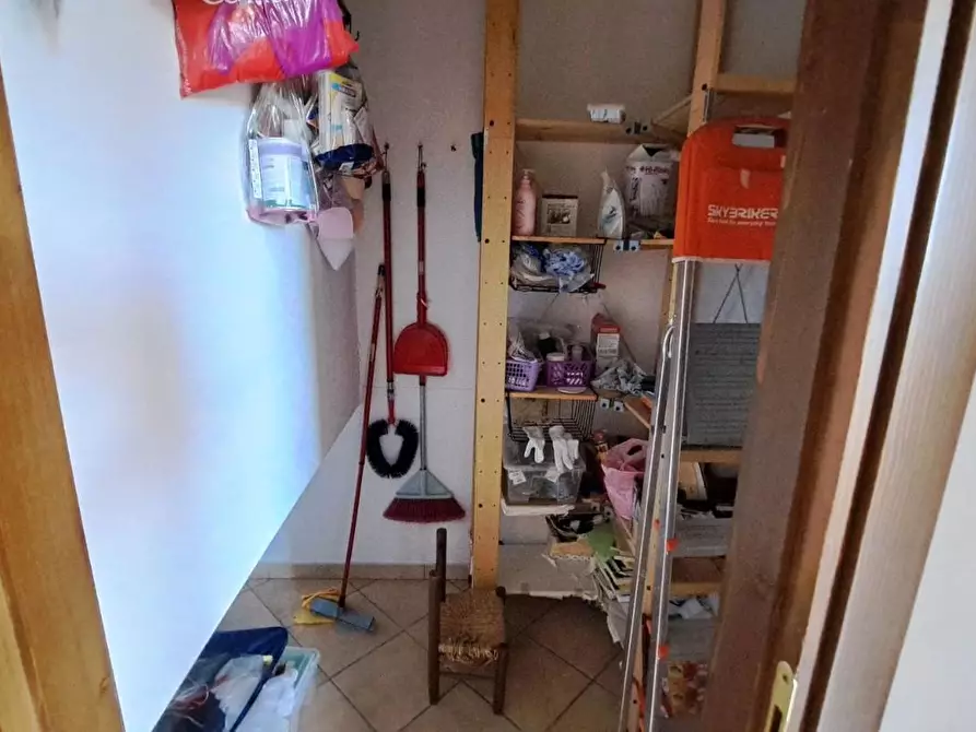 Immagine 18 di Appartamento in vendita  a Rosignano Marittimo