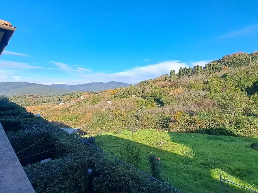 Immagine 22 di Appartamento in vendita  a Rosignano Marittimo