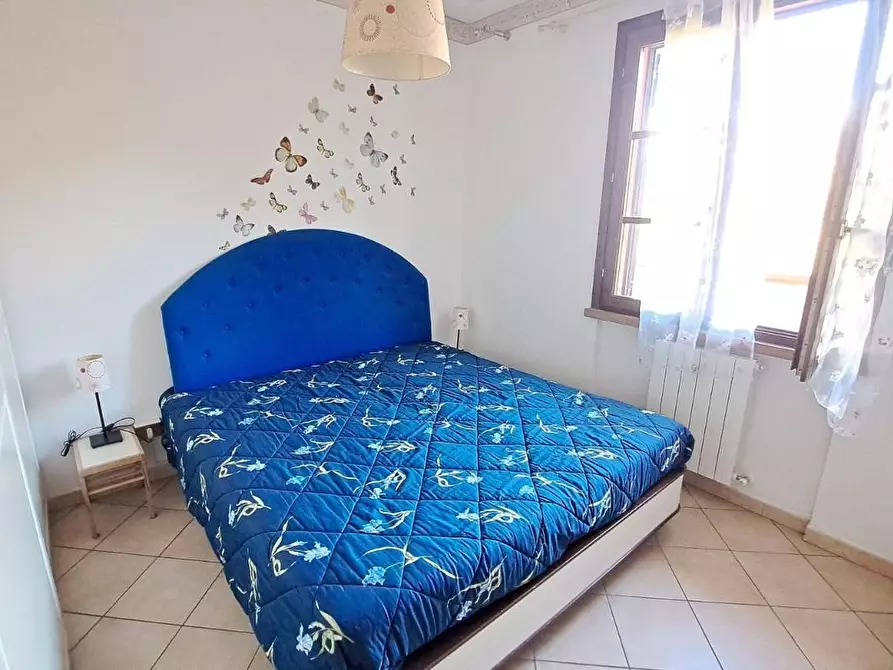 Immagine 14 di Appartamento in vendita  a Rosignano Marittimo