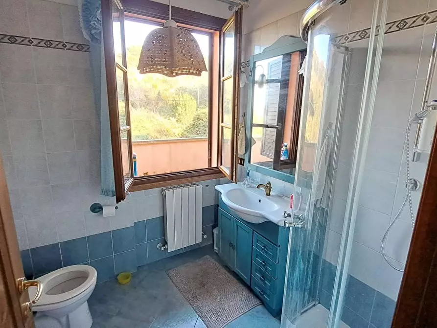 Immagine 17 di Appartamento in vendita  a Rosignano Marittimo