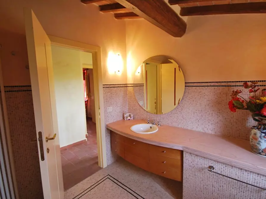 Immagine 21 di Casa colonica in vendita  a Casciana Terme Lari