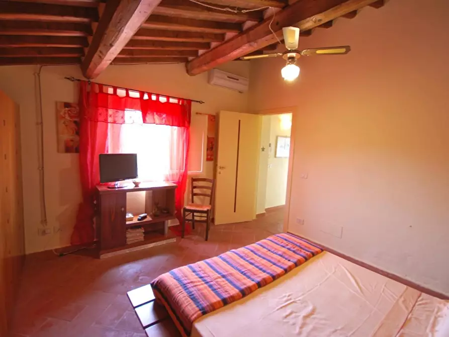 Immagine 19 di Casa colonica in vendita  a Casciana Terme Lari