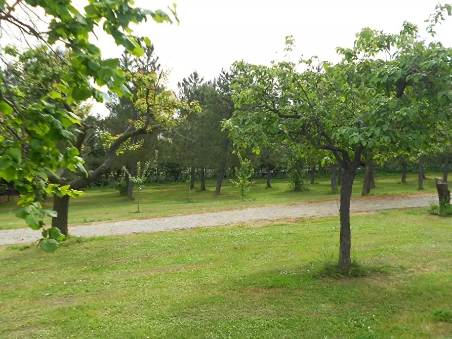 Immagine 92 di Villa in vendita  a Casciana Terme Lari