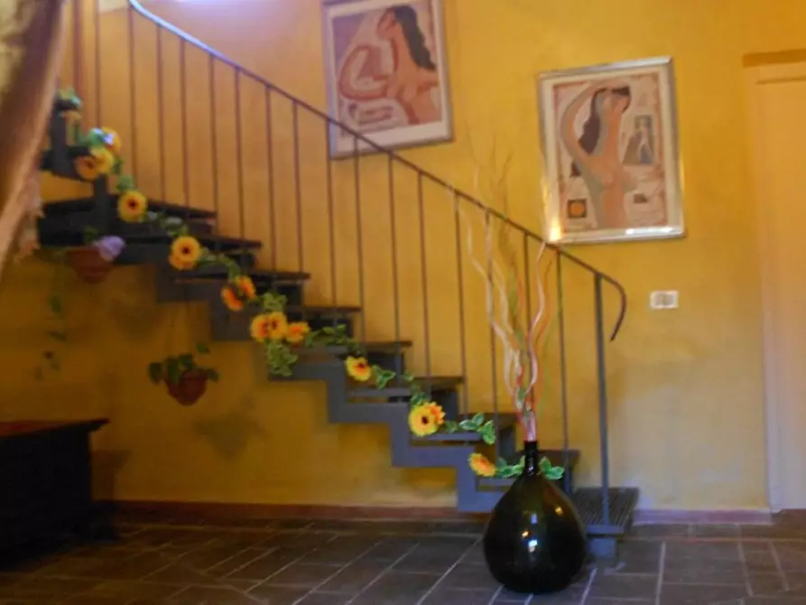 Immagine 11 di Casa colonica in vendita  a Casciana Terme Lari
