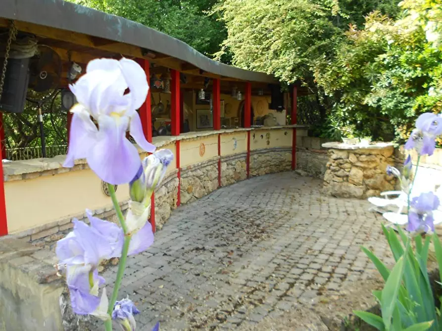 Immagine 64 di Villa in vendita  a Casciana Terme Lari