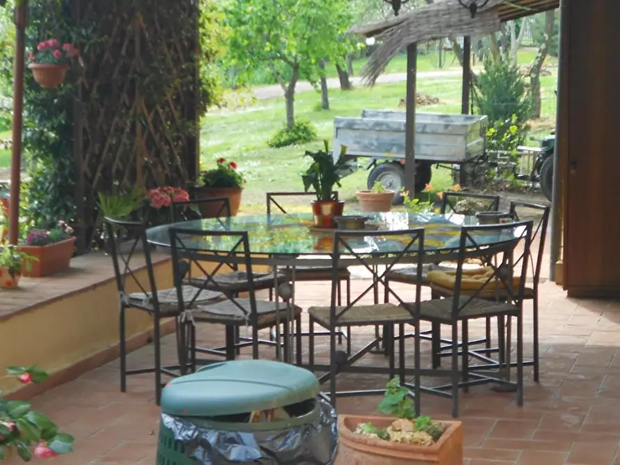 Immagine 34 di Casa colonica in vendita  a Casciana Terme Lari