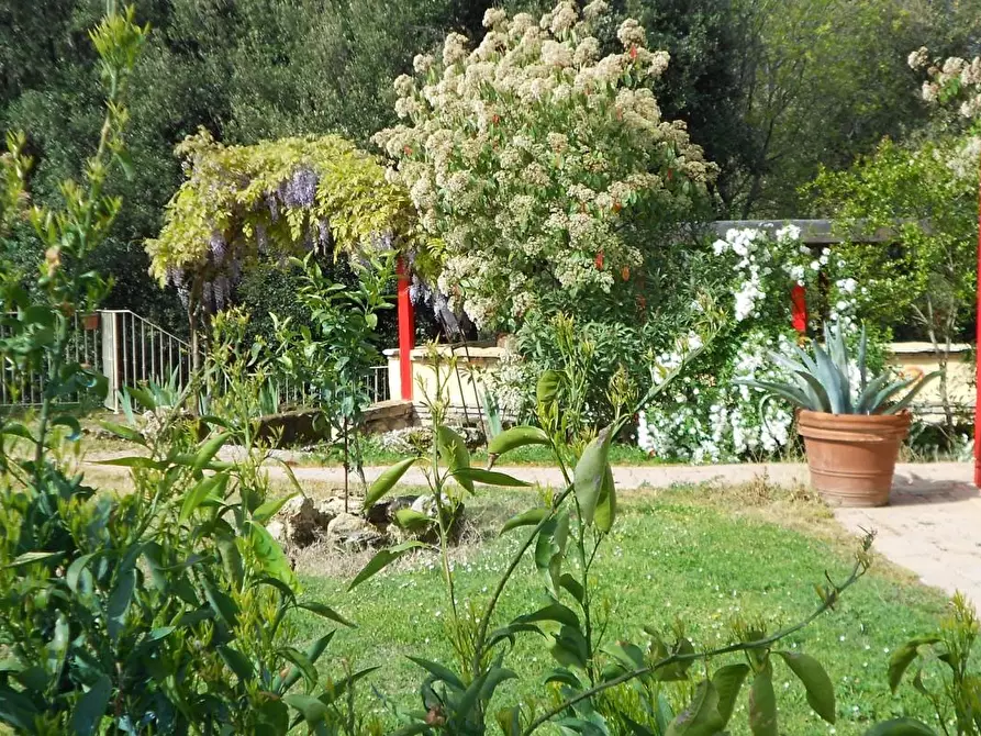 Immagine 61 di Villa in vendita  a Casciana Terme Lari