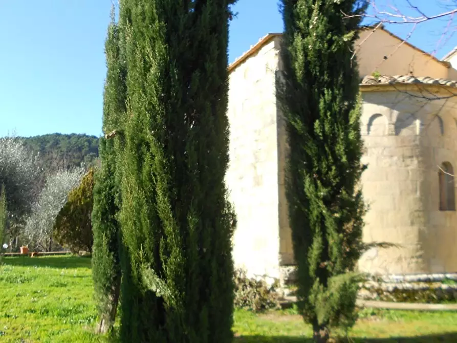 Immagine 4 di Casa colonica in vendita  a Casciana Terme Lari