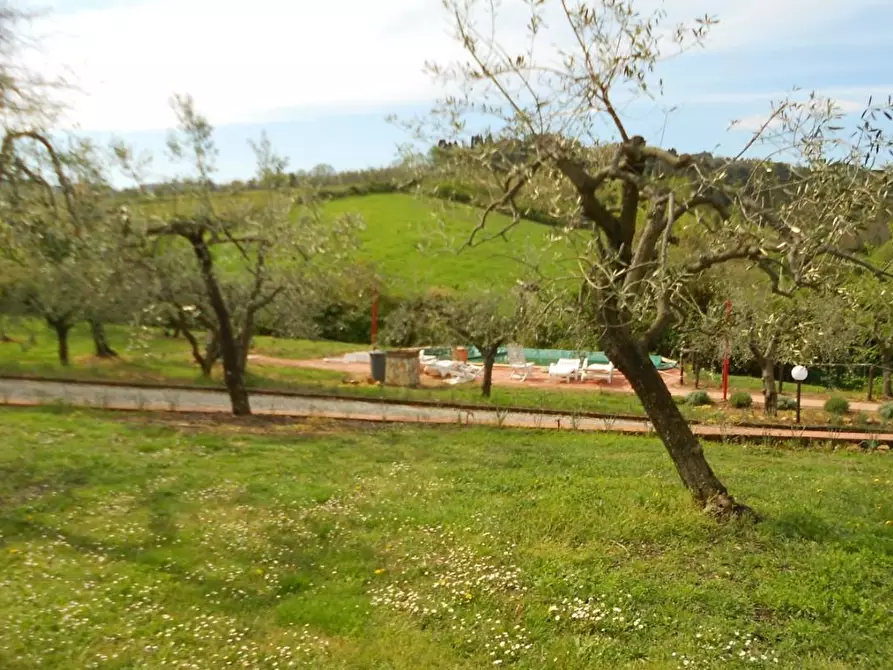 Immagine 9 di Casa colonica in vendita  a Casciana Terme Lari