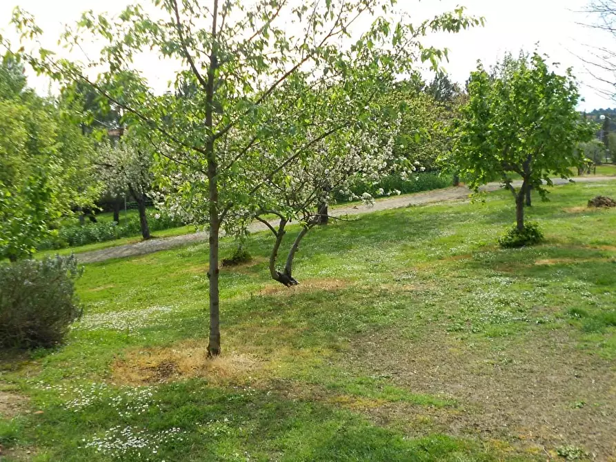 Immagine 94 di Villa in vendita  a Casciana Terme Lari