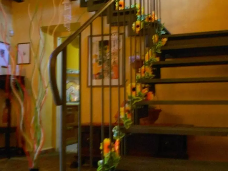 Immagine 12 di Casa colonica in vendita  a Casciana Terme Lari