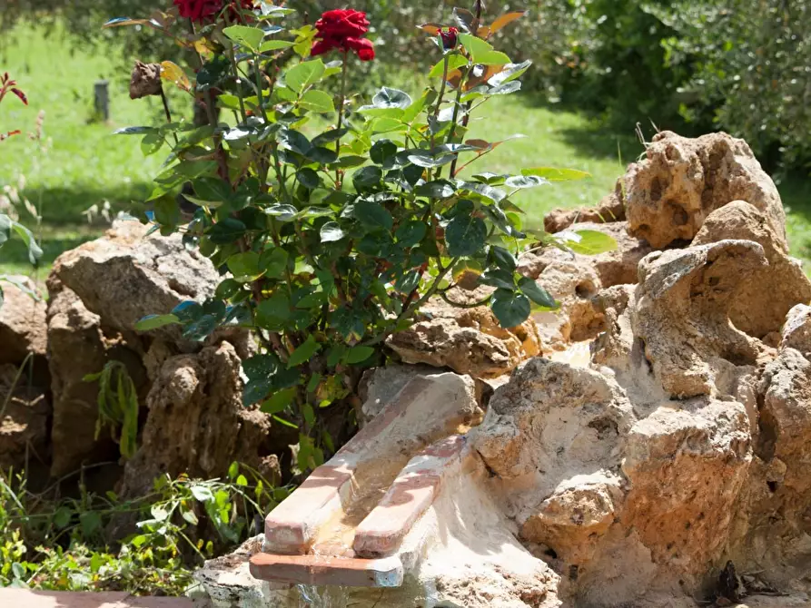 Immagine 83 di Villa in vendita  a Casciana Terme Lari