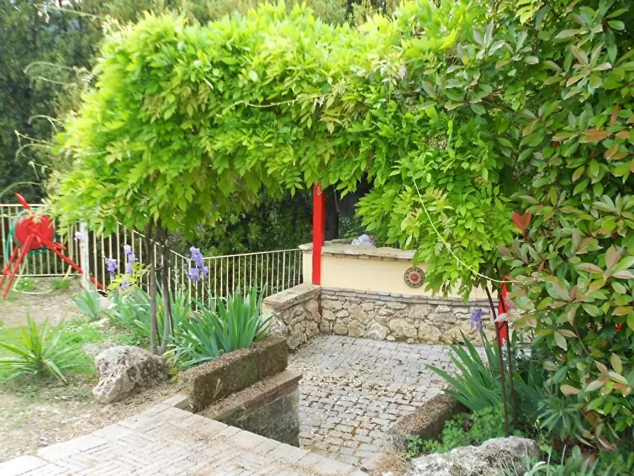 Immagine 24 di Casa colonica in vendita  a Casciana Terme Lari