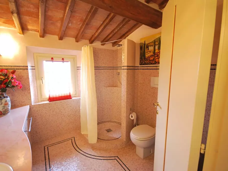 Immagine 20 di Casa colonica in vendita  a Casciana Terme Lari